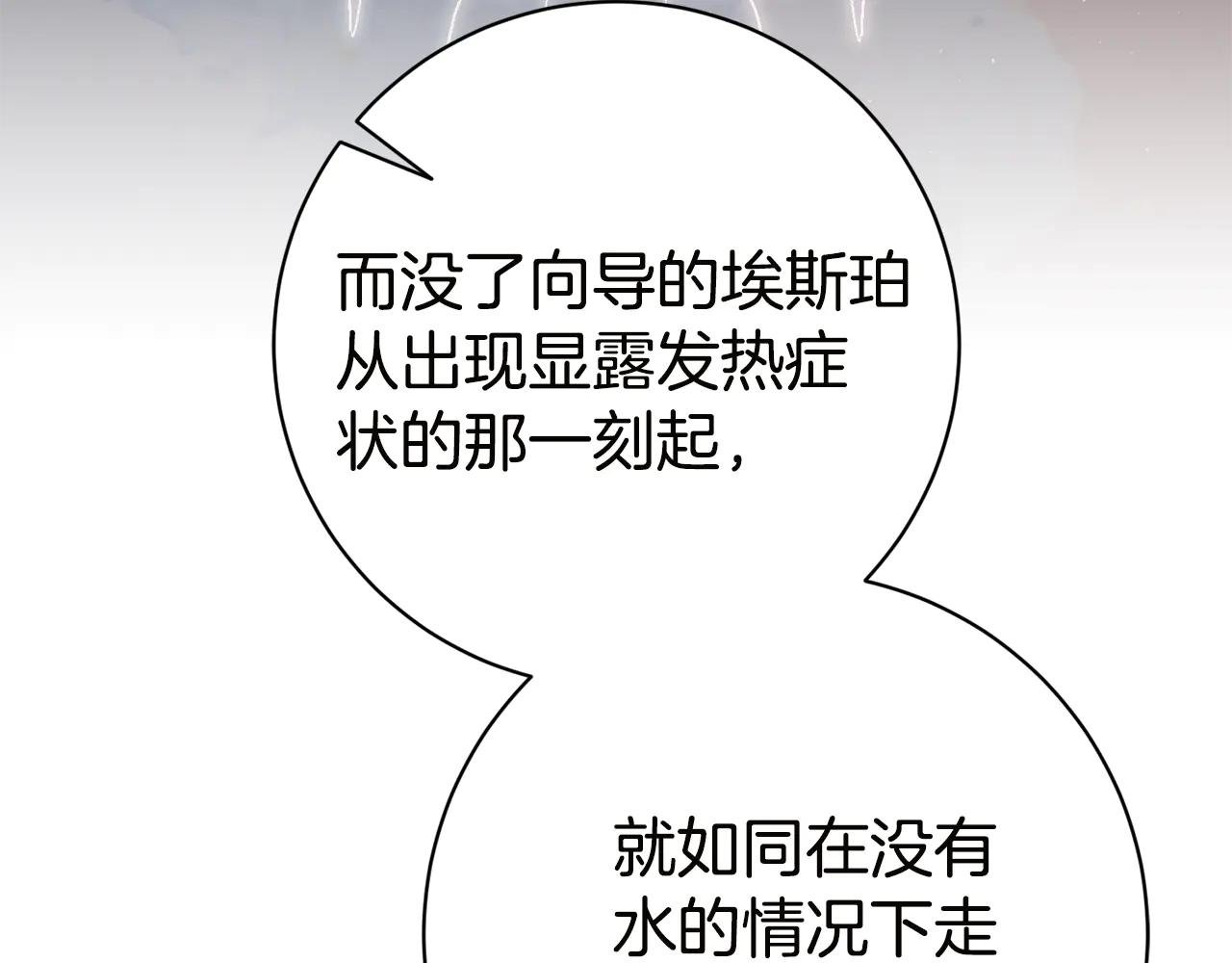 第17话 专属向导