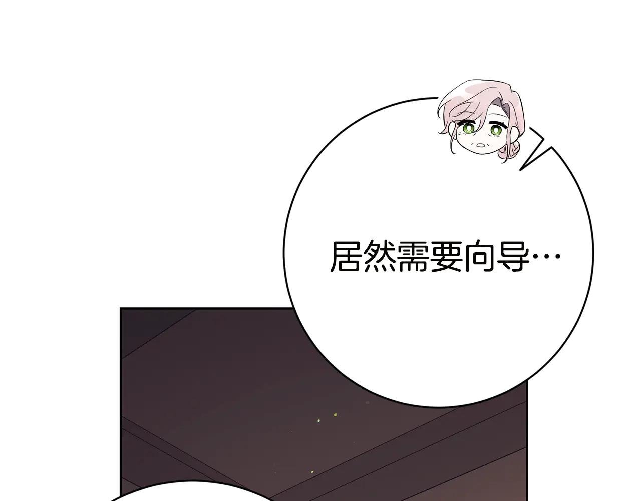 第17话 专属向导