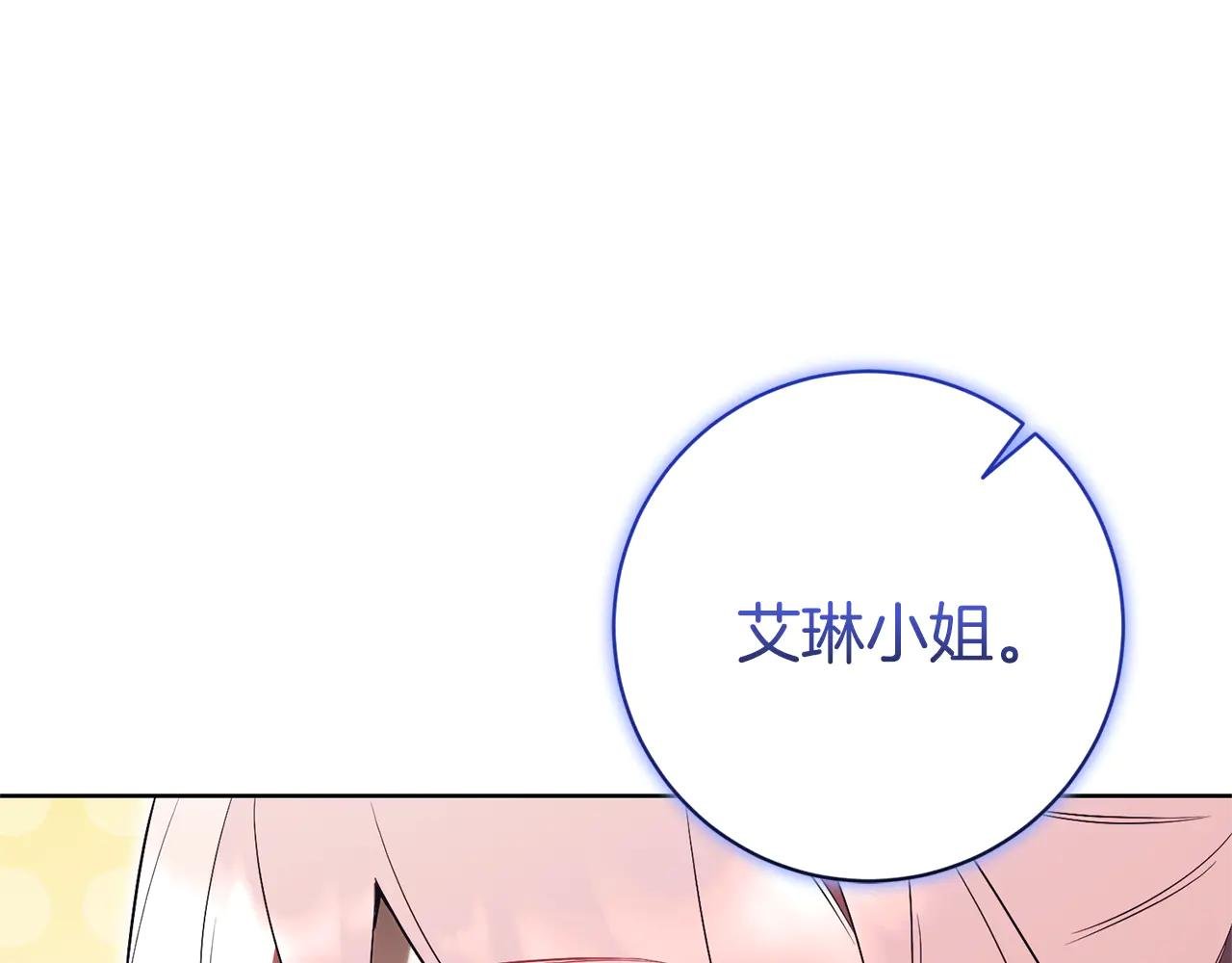 第17话 专属向导