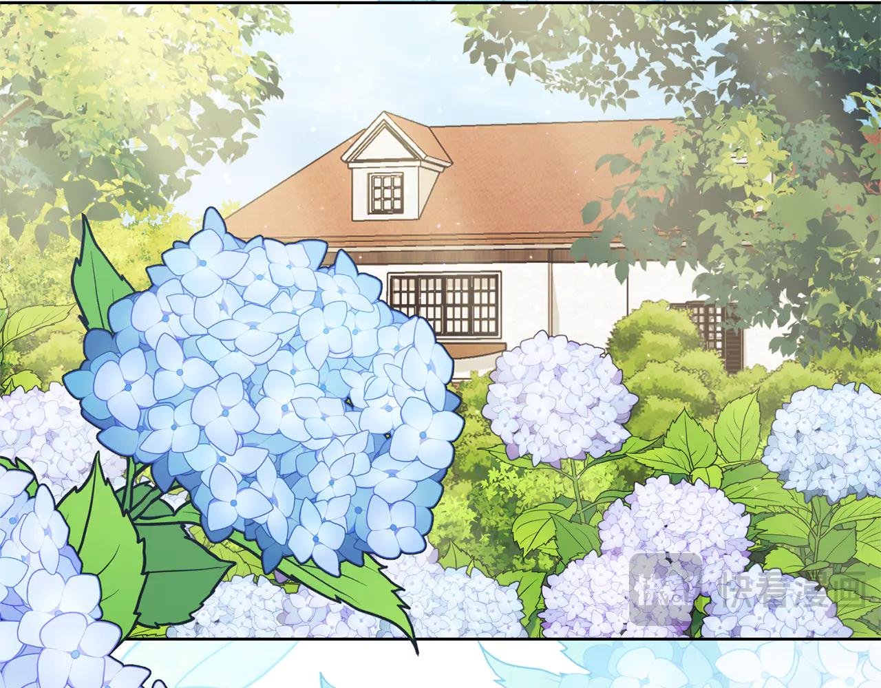 第17话 专属向导