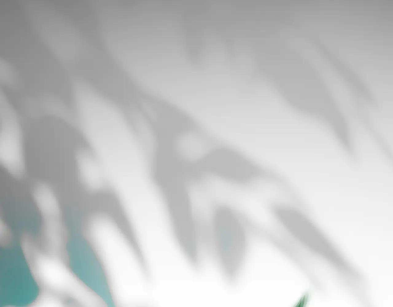 第38话 没你不行