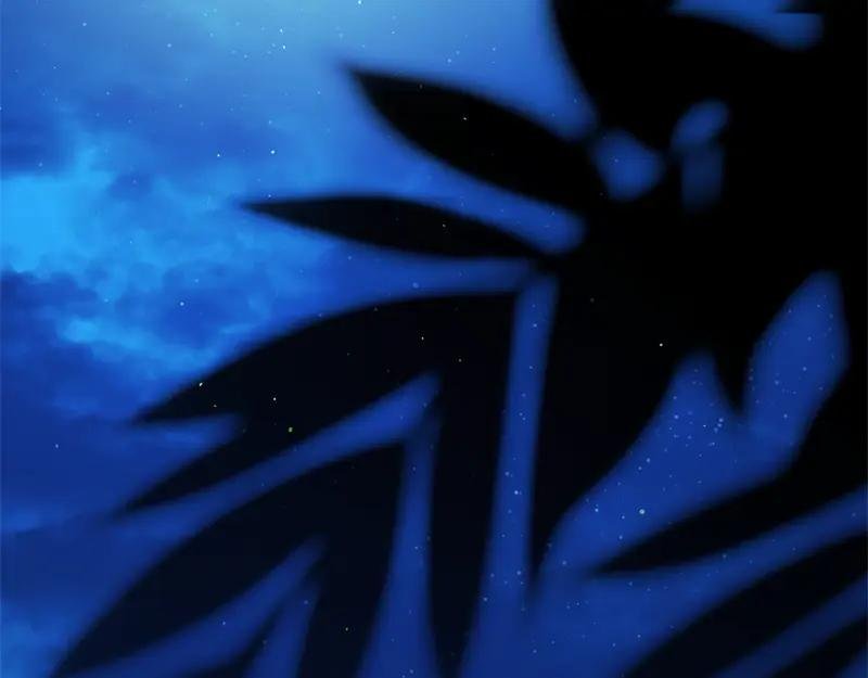 第50话 神的旨意