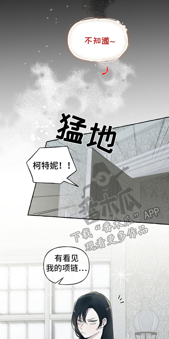 第1章：独特的夜晚