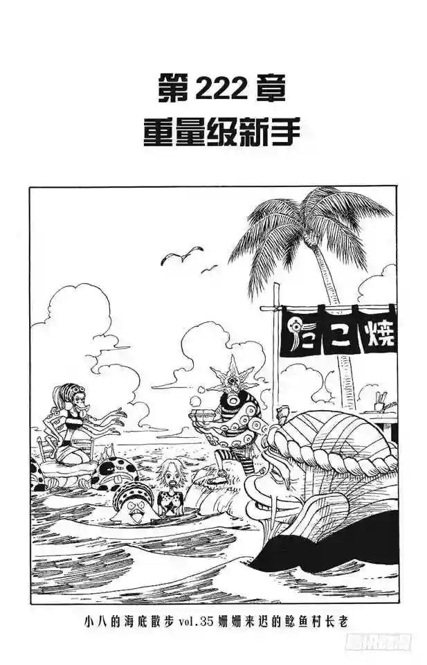 第222话 重量级新手