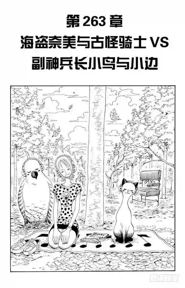 第263话 海盗娜美与古怪骑士V