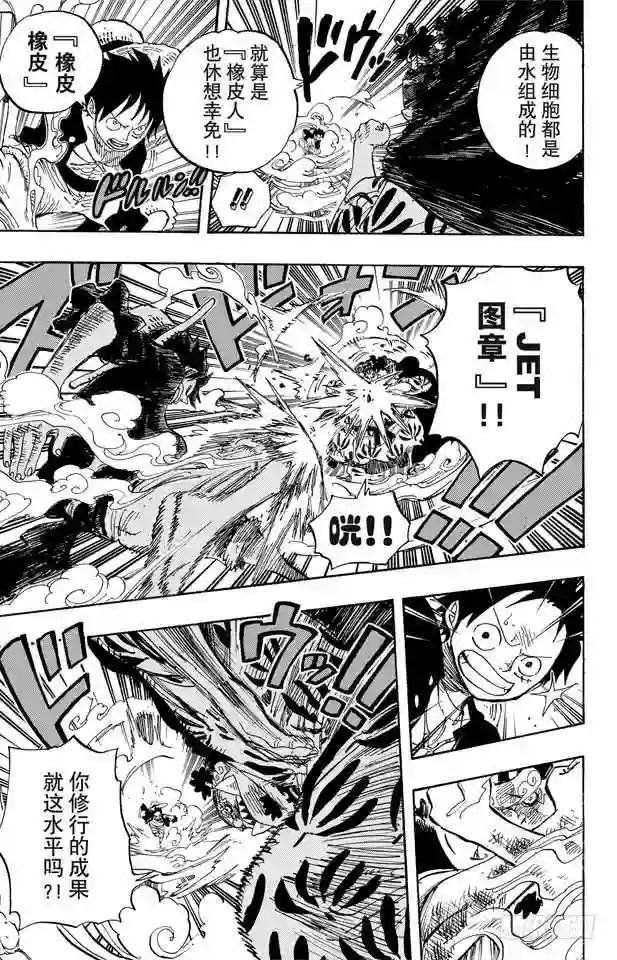 第629话 阻挡在面前的原七武海