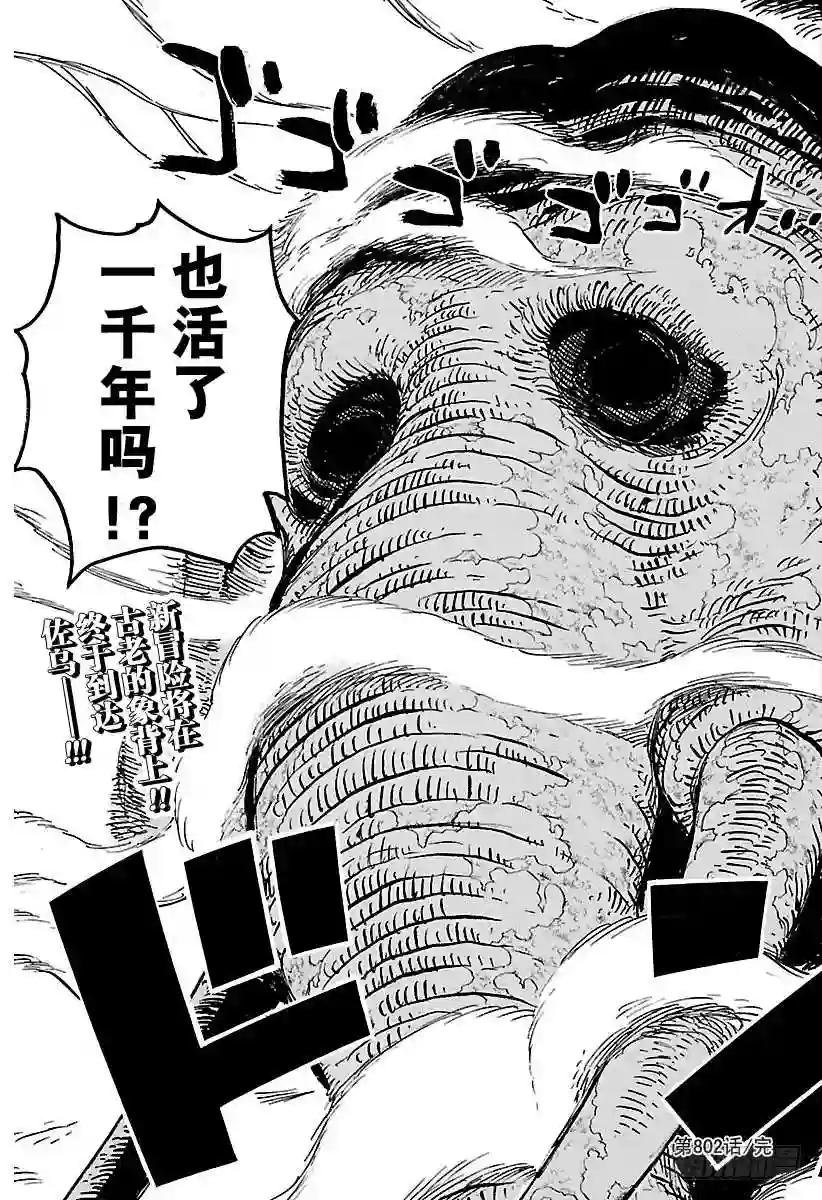 第802话 佐乌
