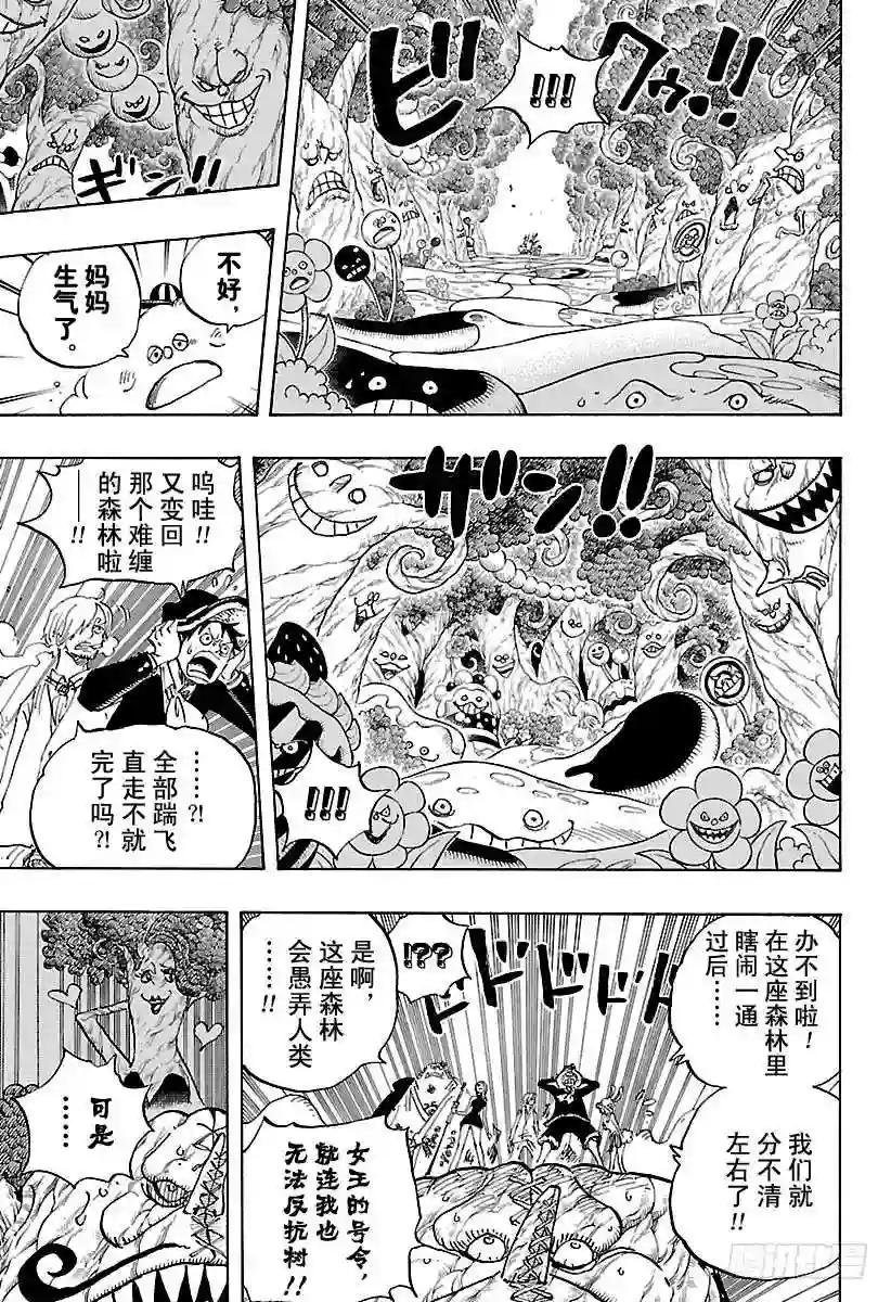 第874话 大王椰子树