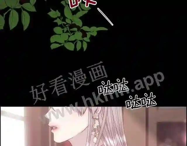 第1话 美丽的诱饵