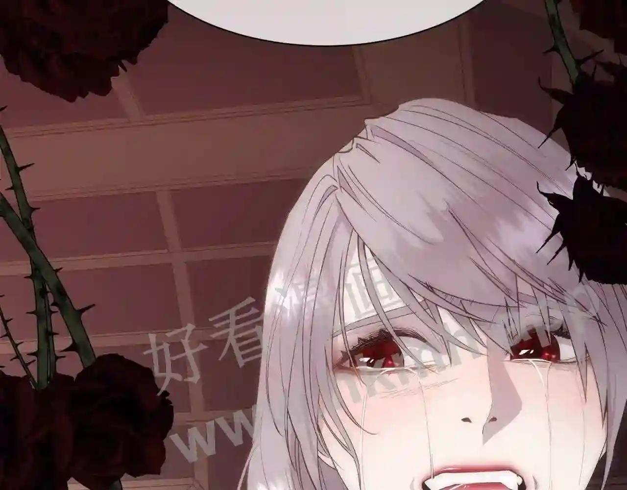第31话 身世