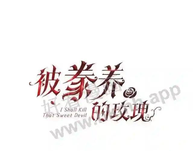 第3话 十七岁的我