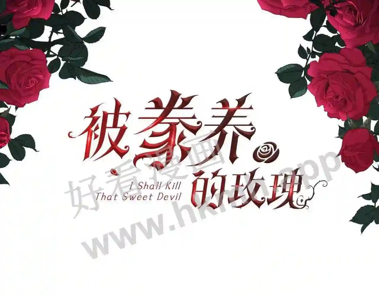 第41话 不可思议的提议