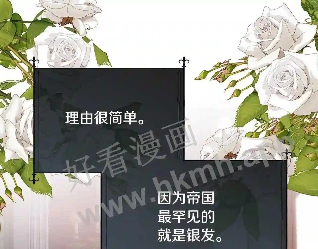 第56话 理想型