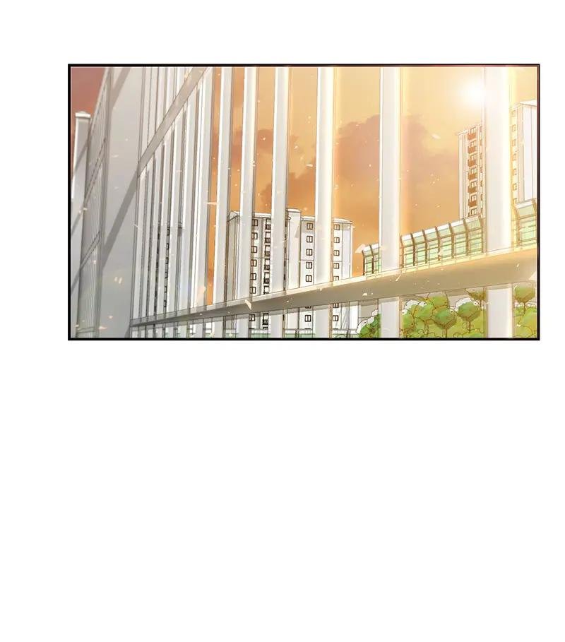 12 计划破灭