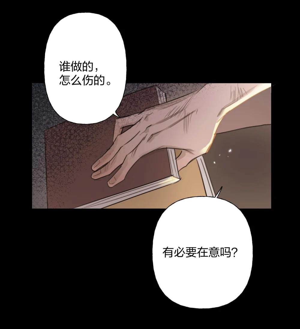 008 故意