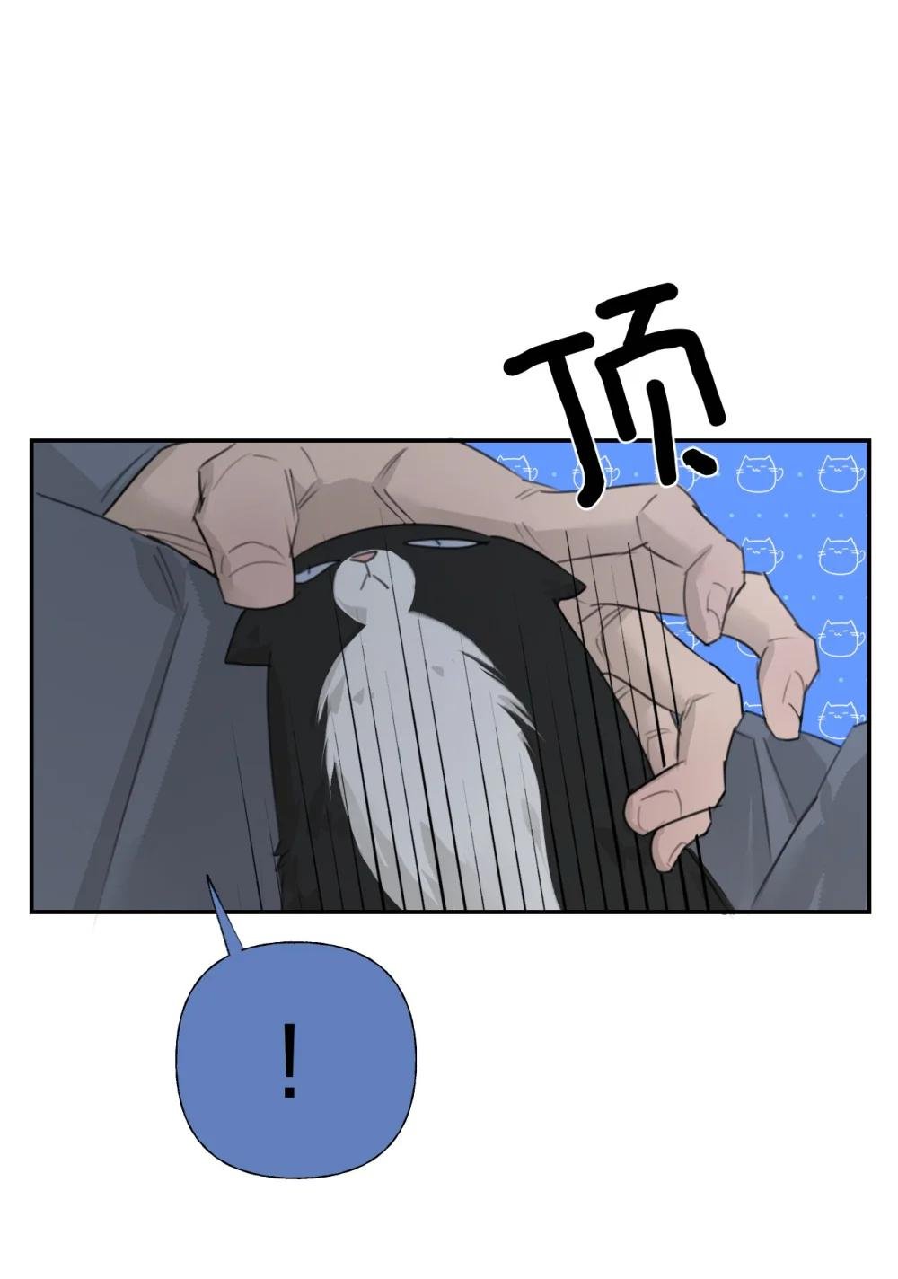 008 故意