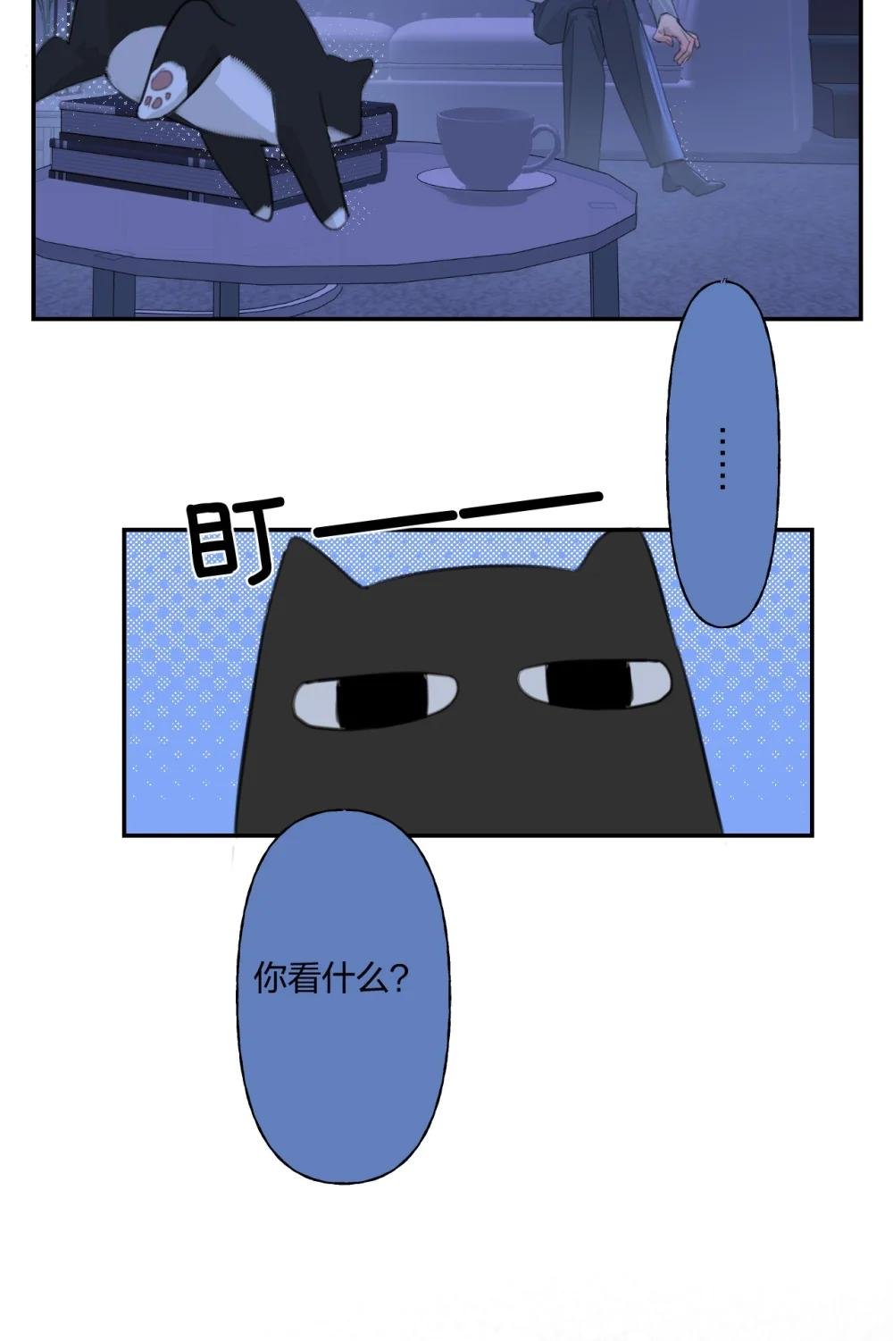 12 日有所思