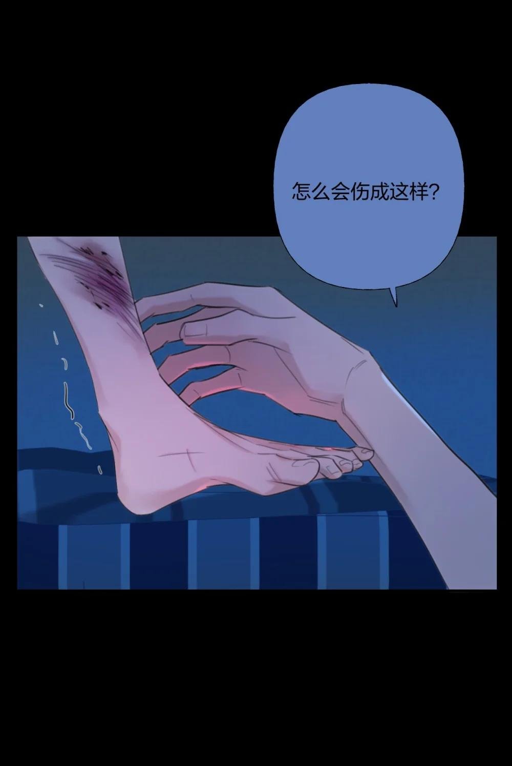 14 忠诚誓言