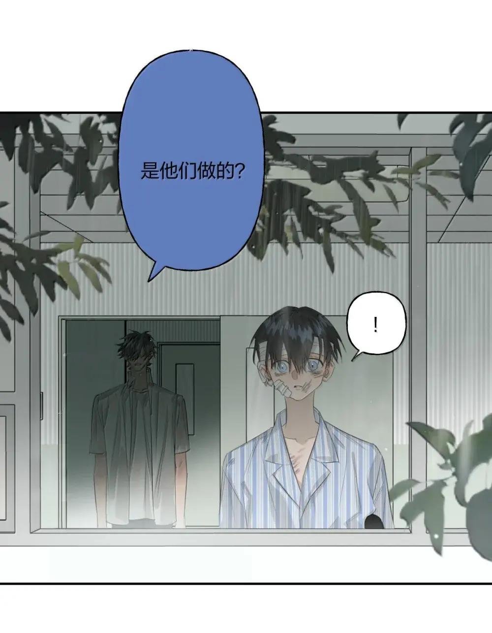 23 我没有说谎