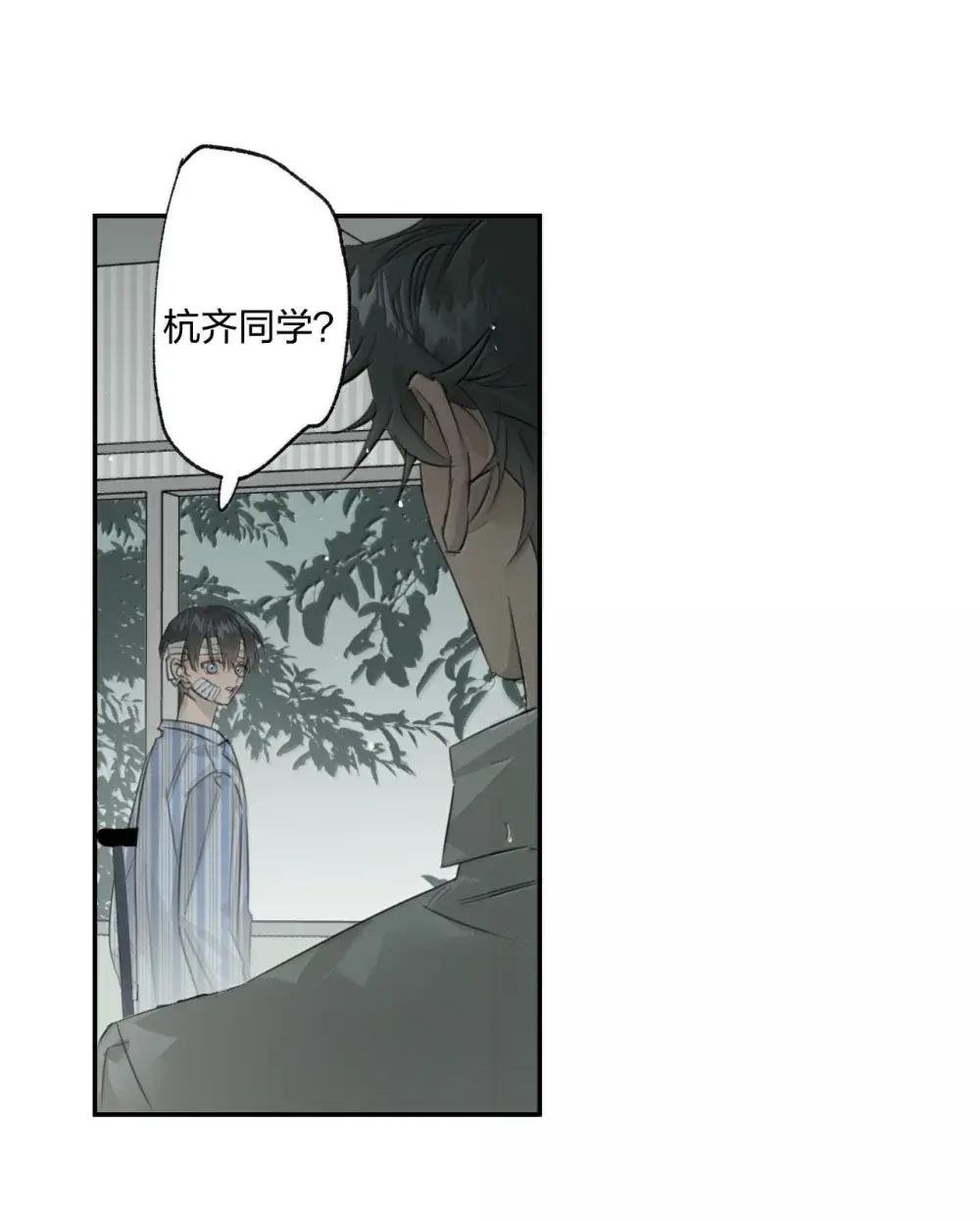 23 我没有说谎