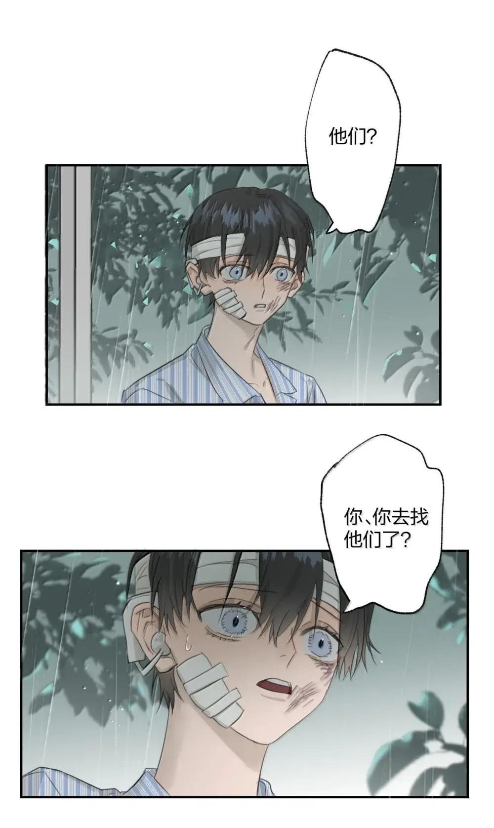 23 我没有说谎