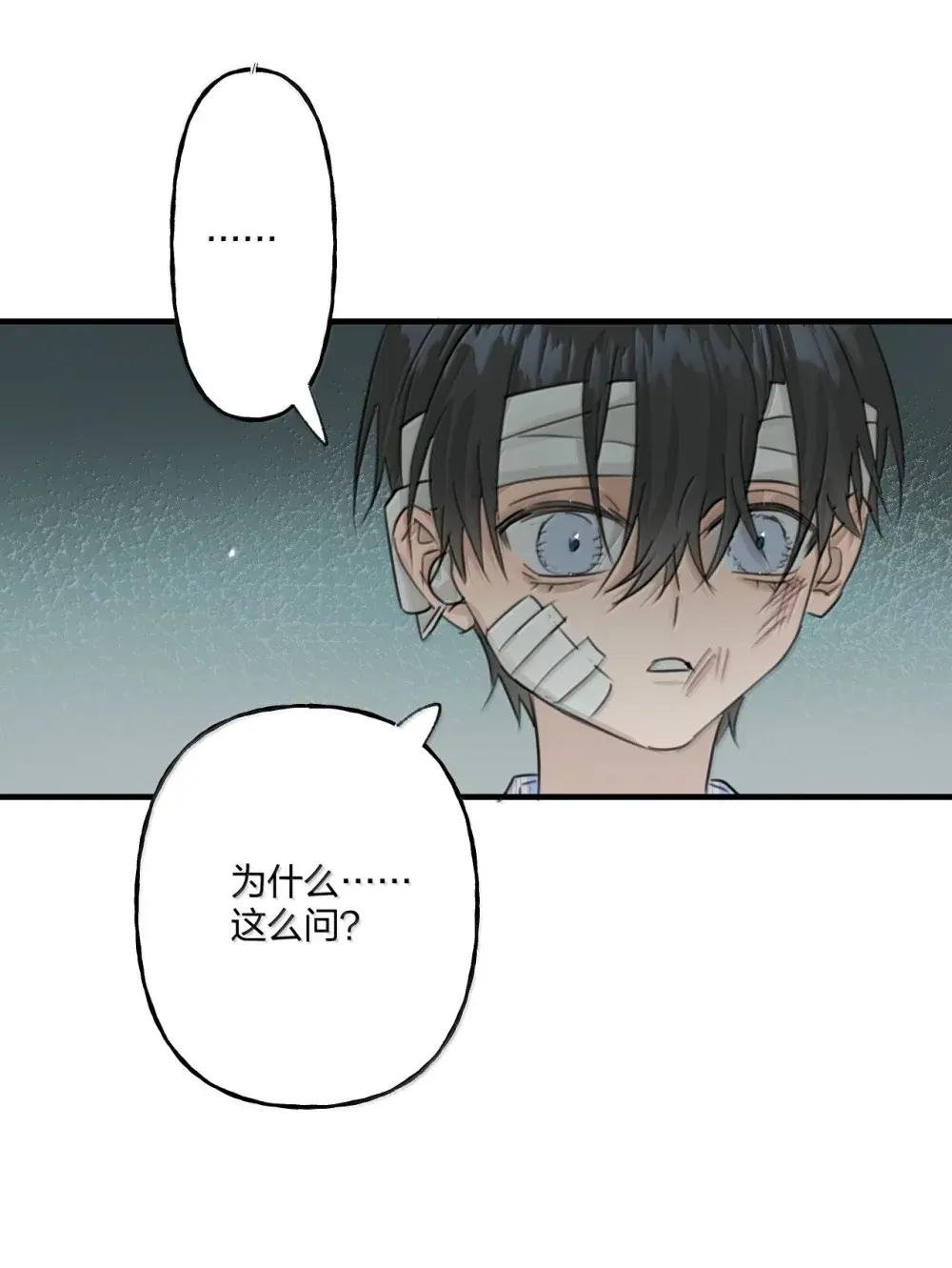 23 我没有说谎
