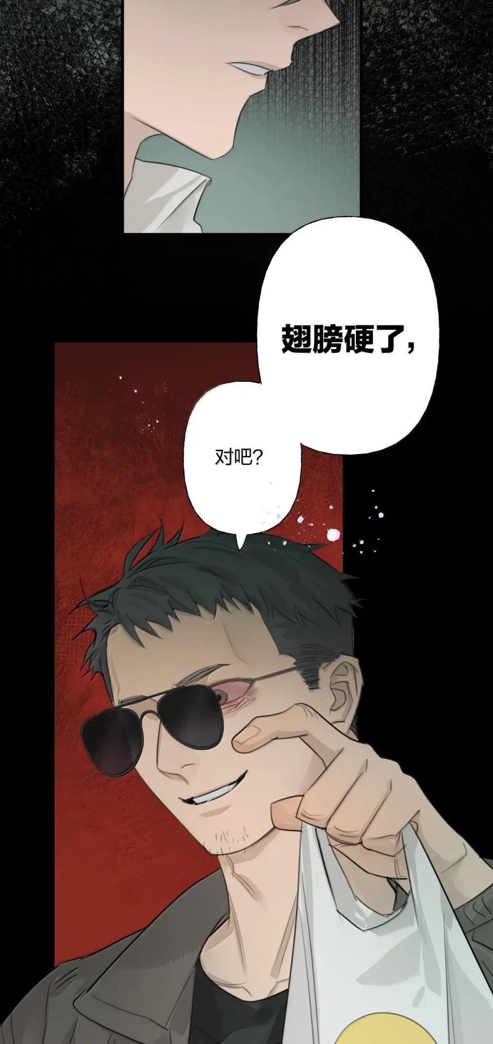 23 我没有说谎