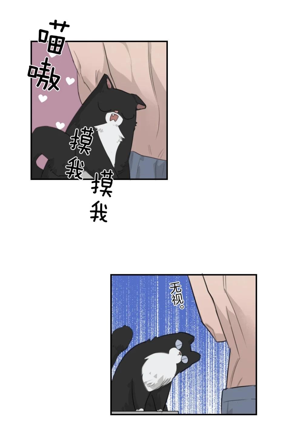 003 霸凌的对象