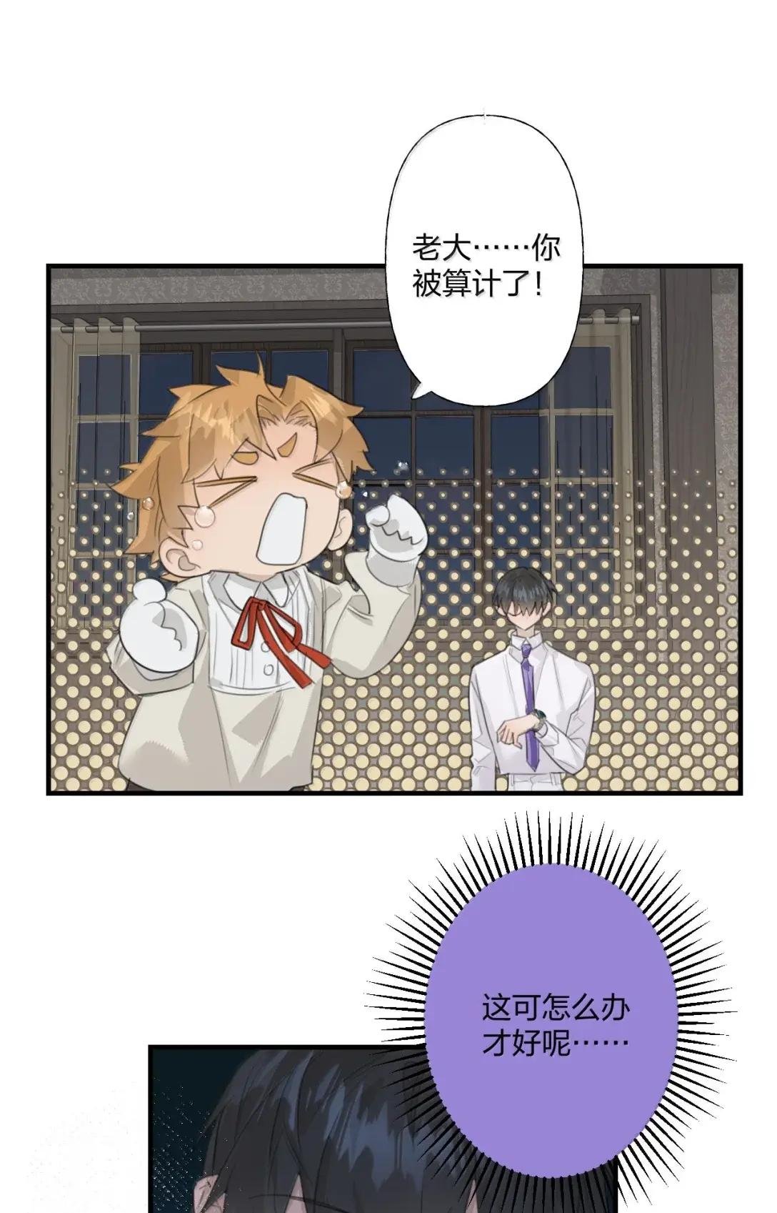 29 道歉