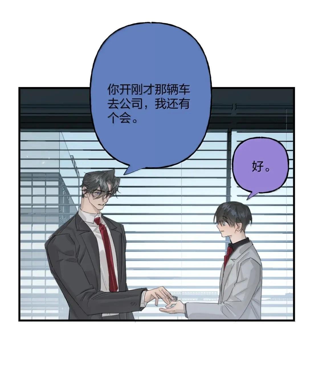 41 完美人设