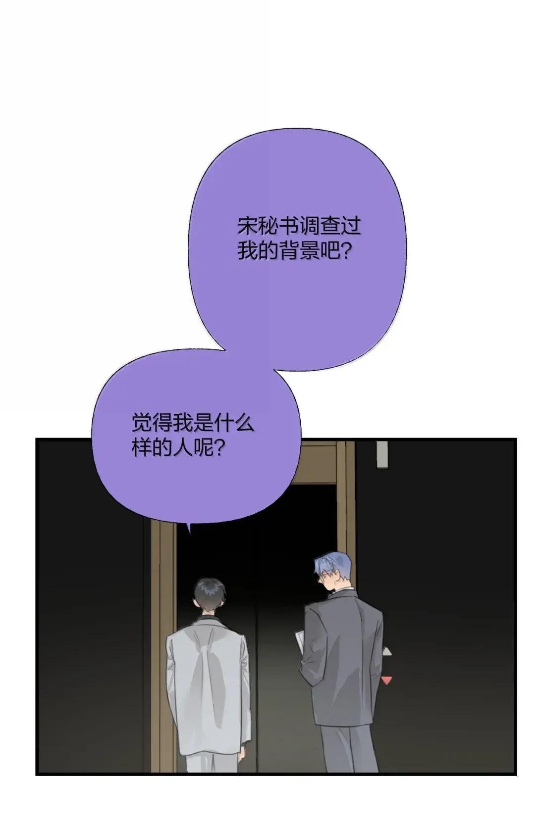 41 完美人设