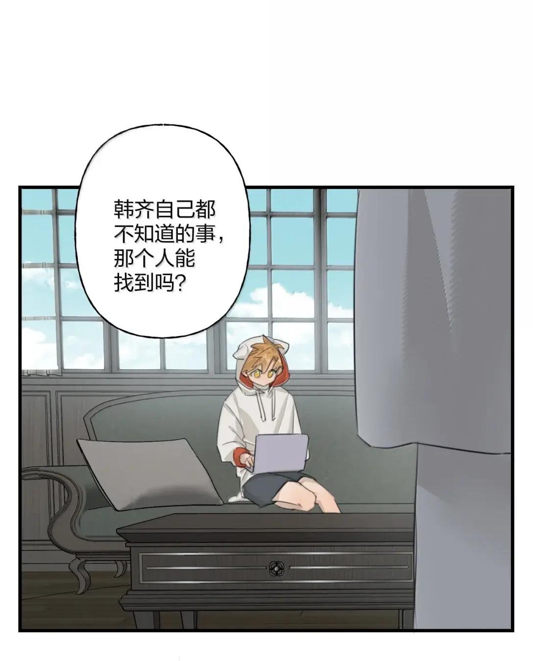 41 完美人设