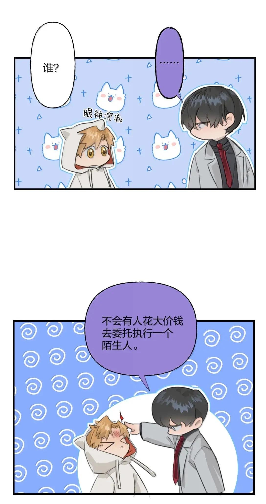 41 完美人设