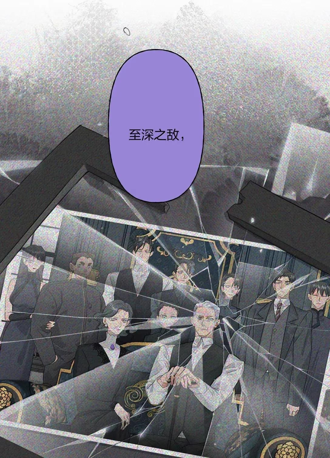 41 完美人设