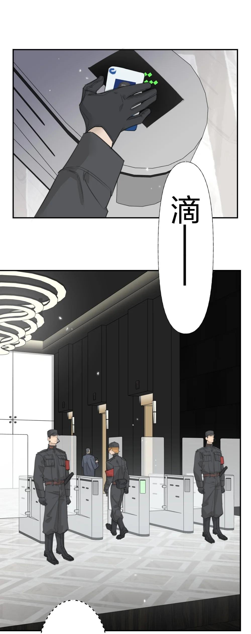 005 黄牌行动