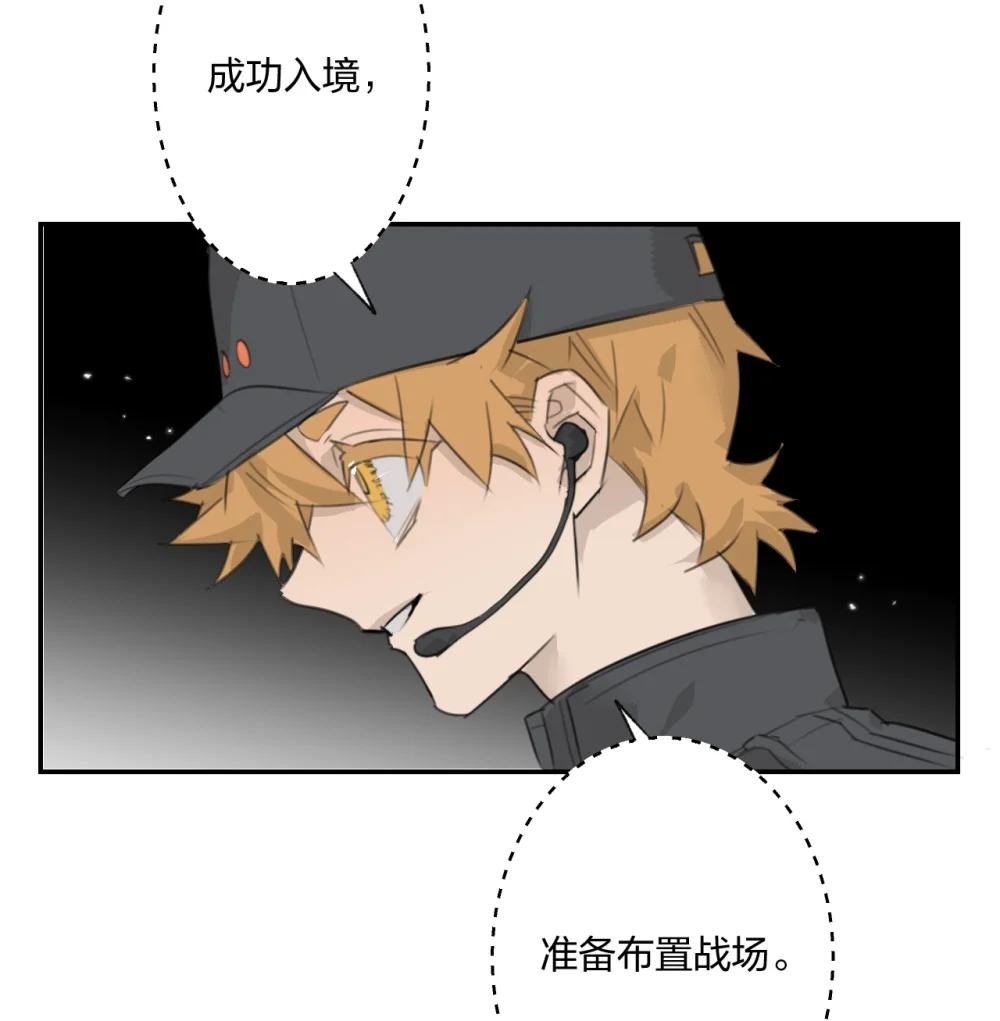 005 黄牌行动