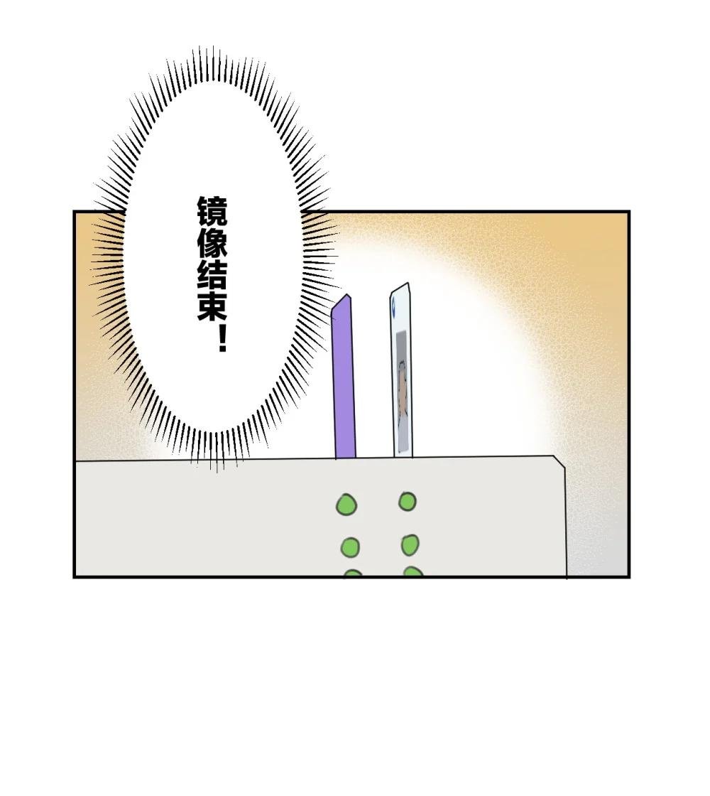 005 黄牌行动