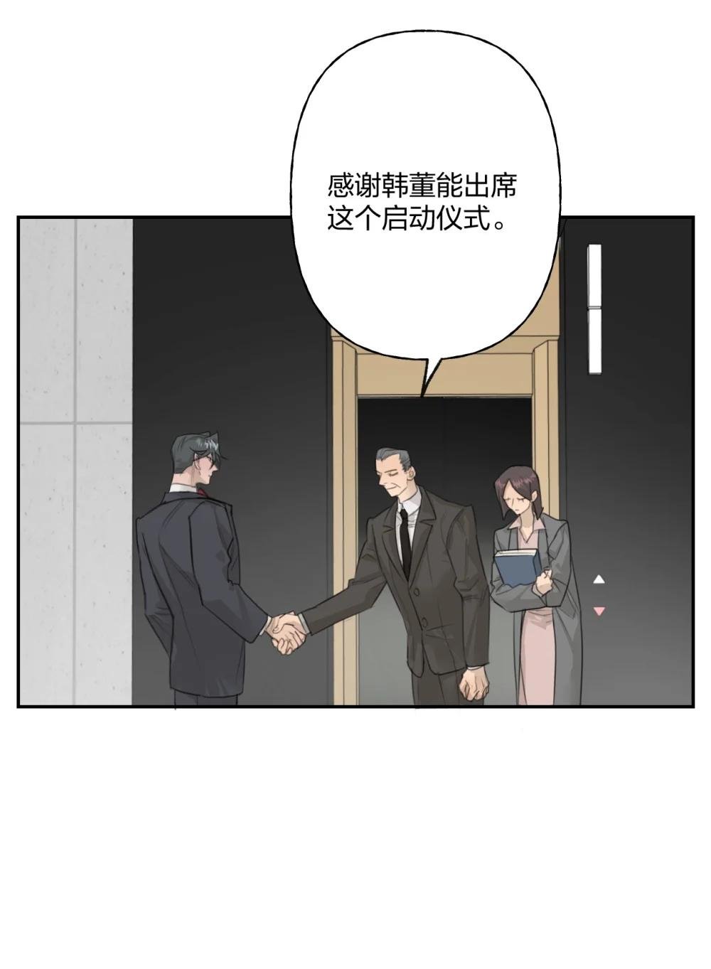 005 黄牌行动