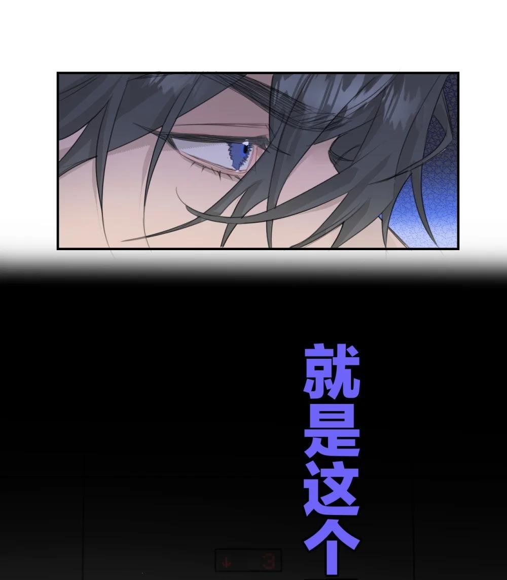 005 黄牌行动