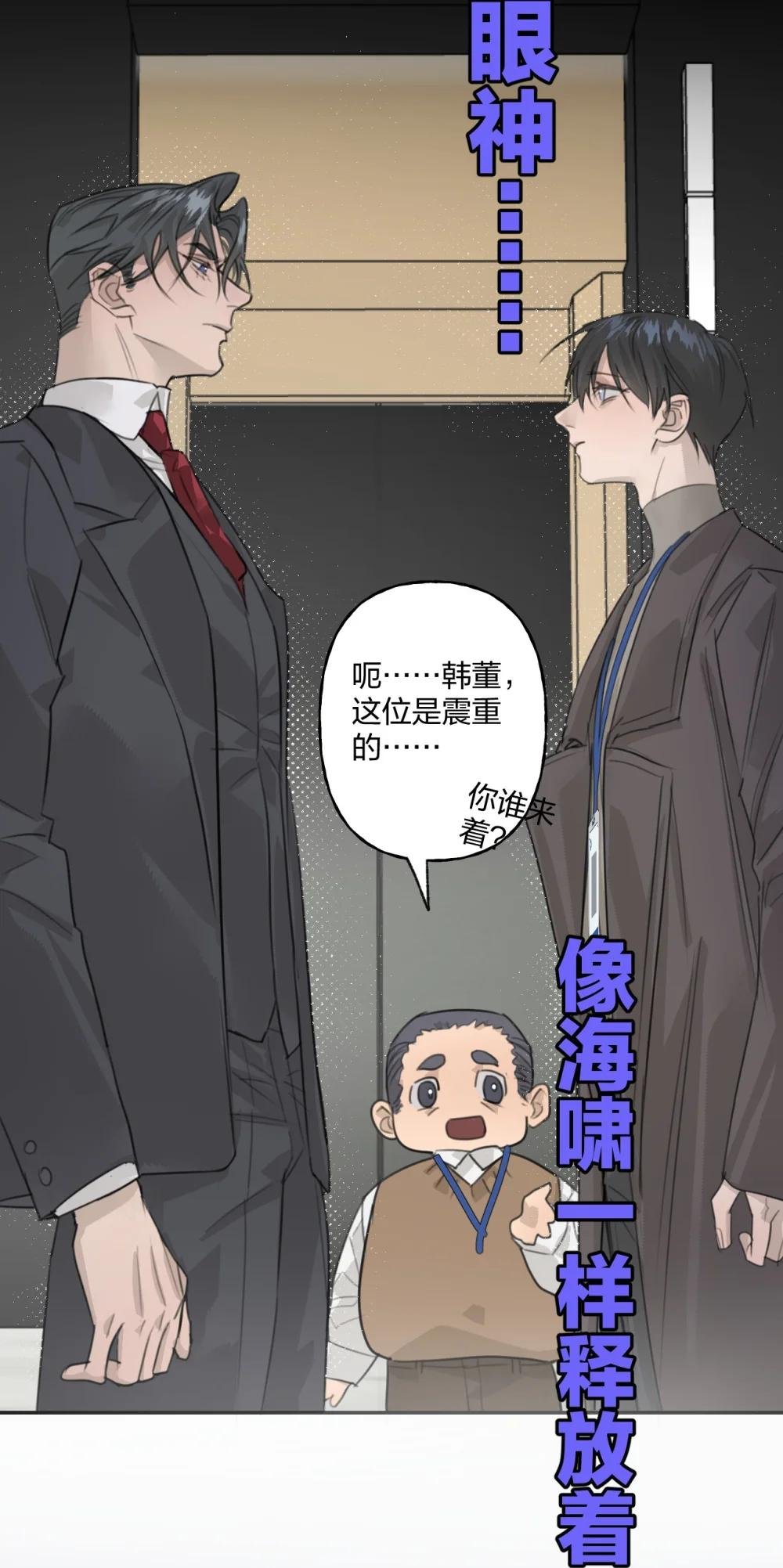 005 黄牌行动
