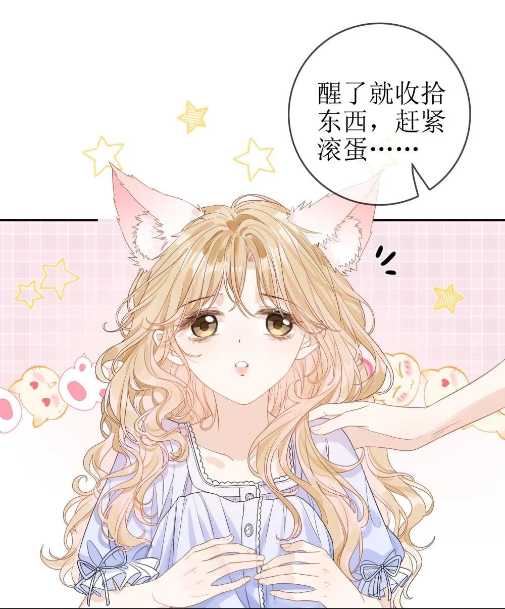09 偏偏是狐狸