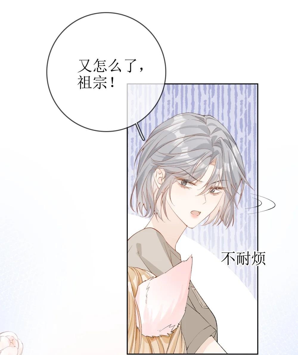 10 狐狸也不差的