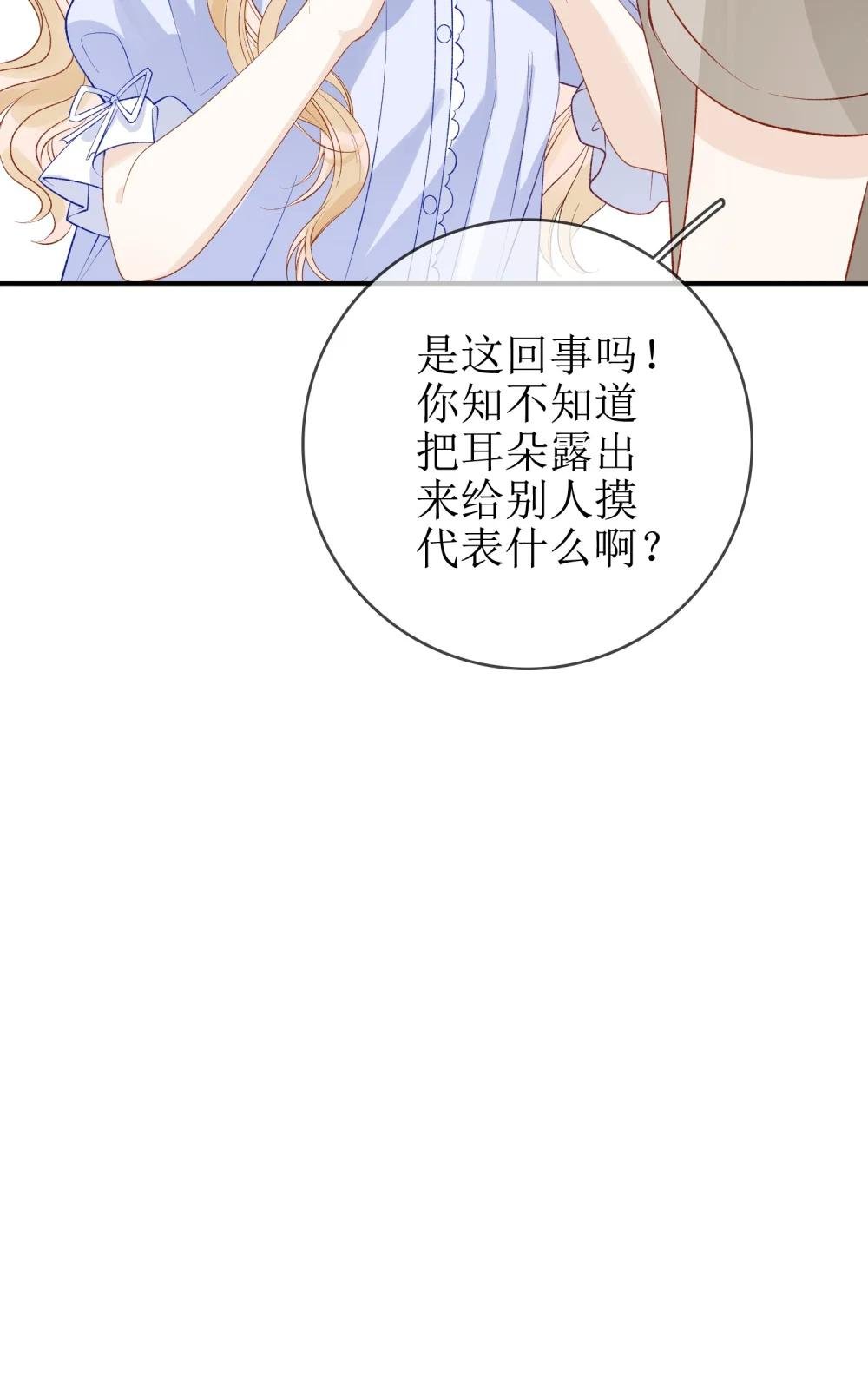 10 狐狸也不差的