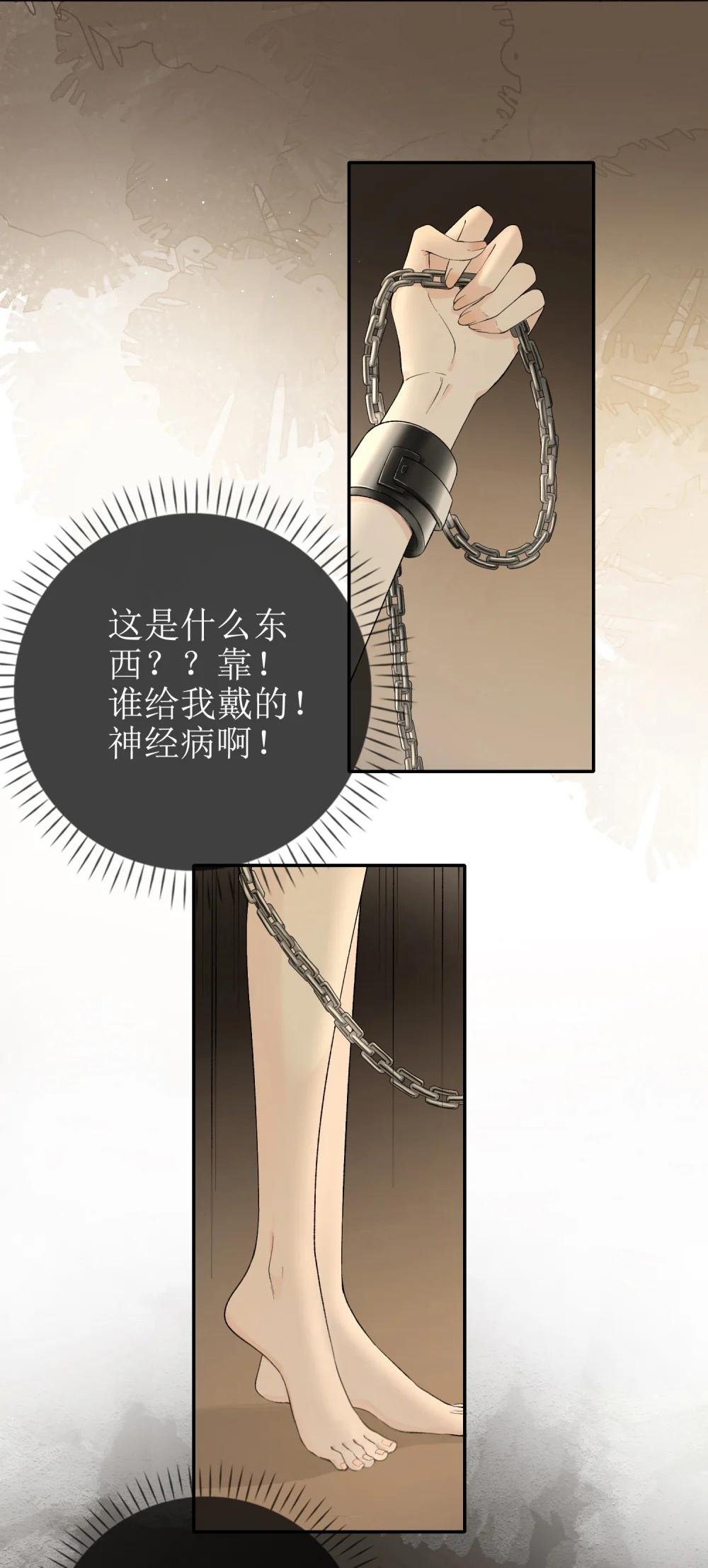 13 囚禁的灰狼