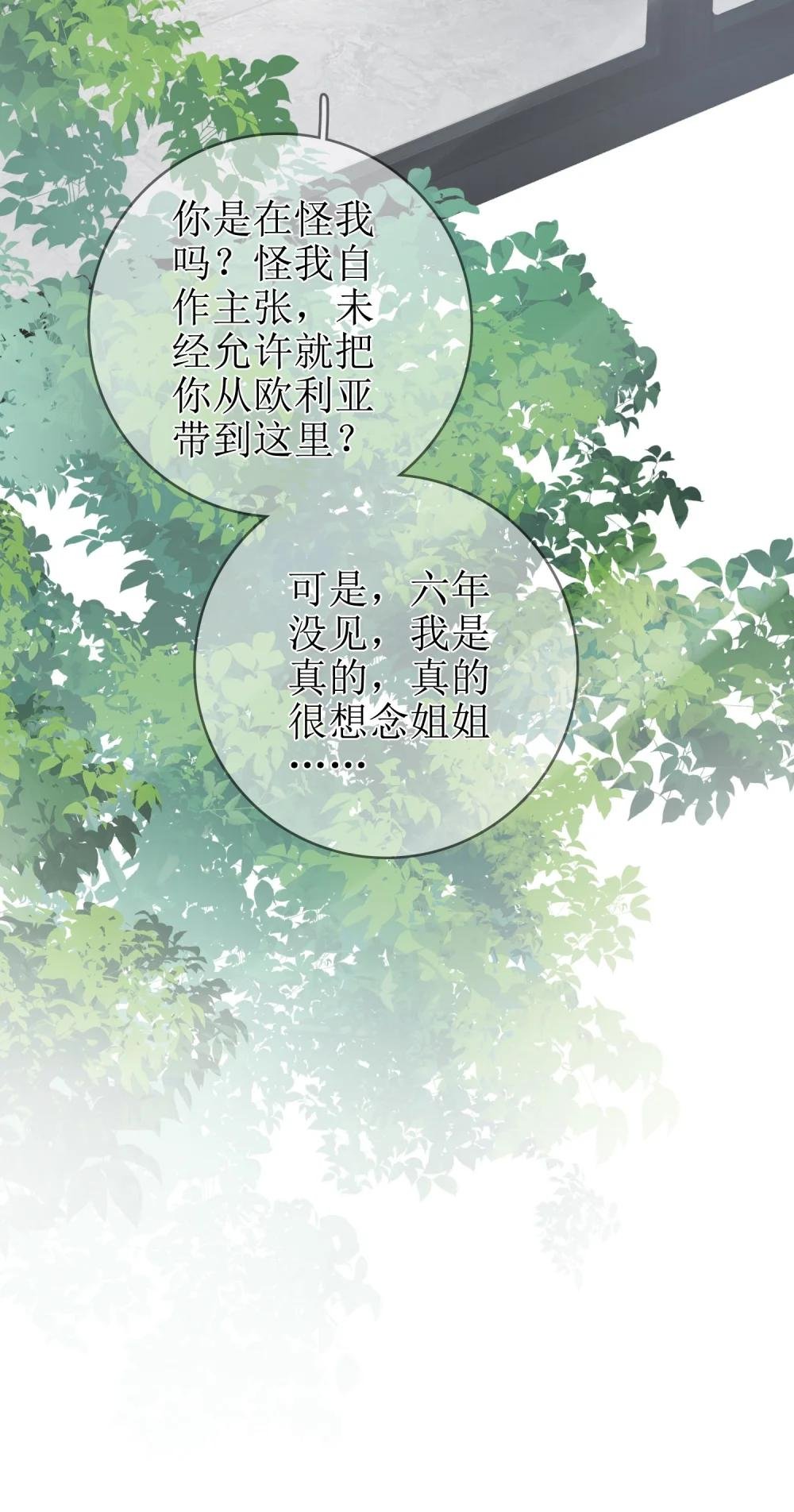 14 长大的狐狸崽崽