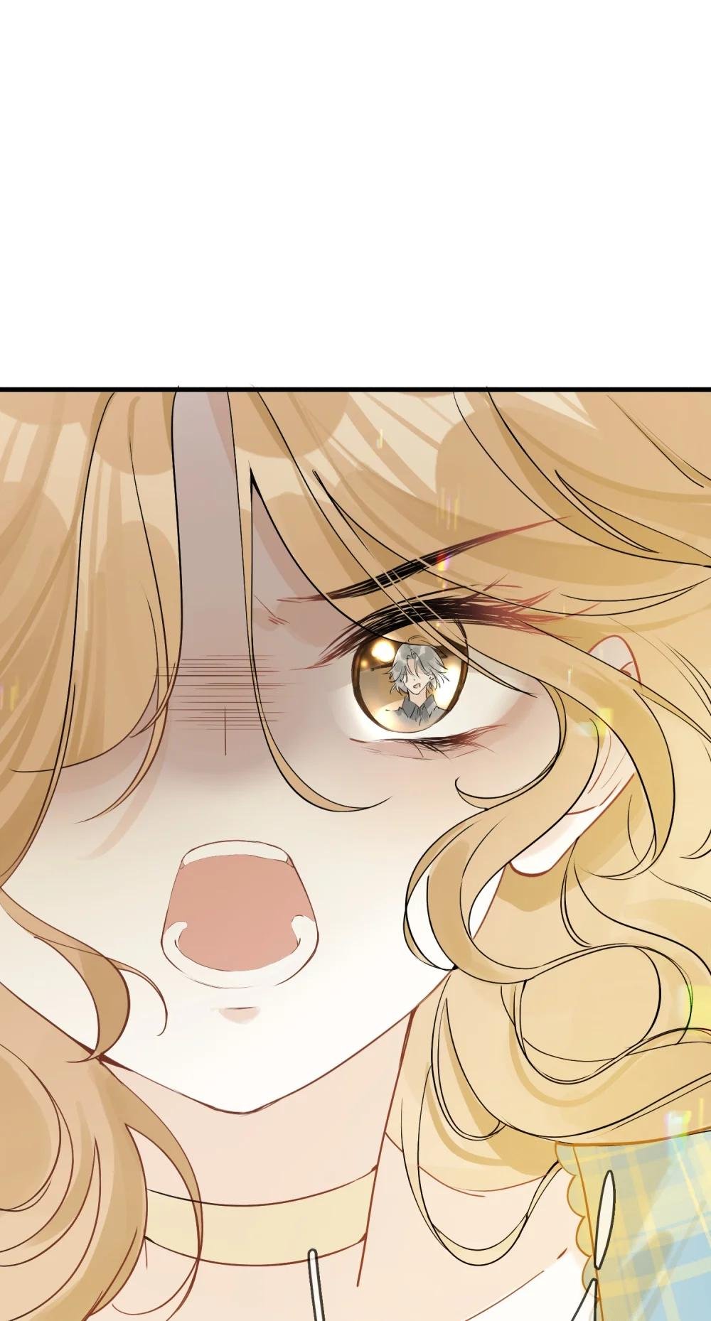 03 收养