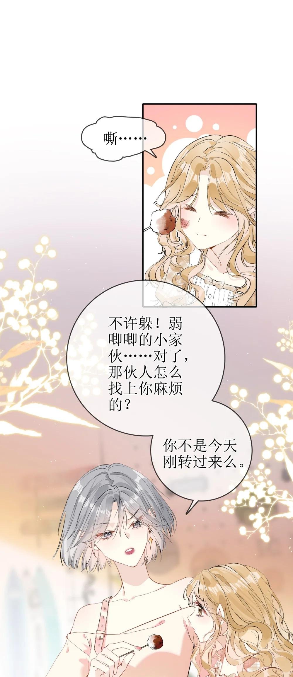 05 灰狼与兔