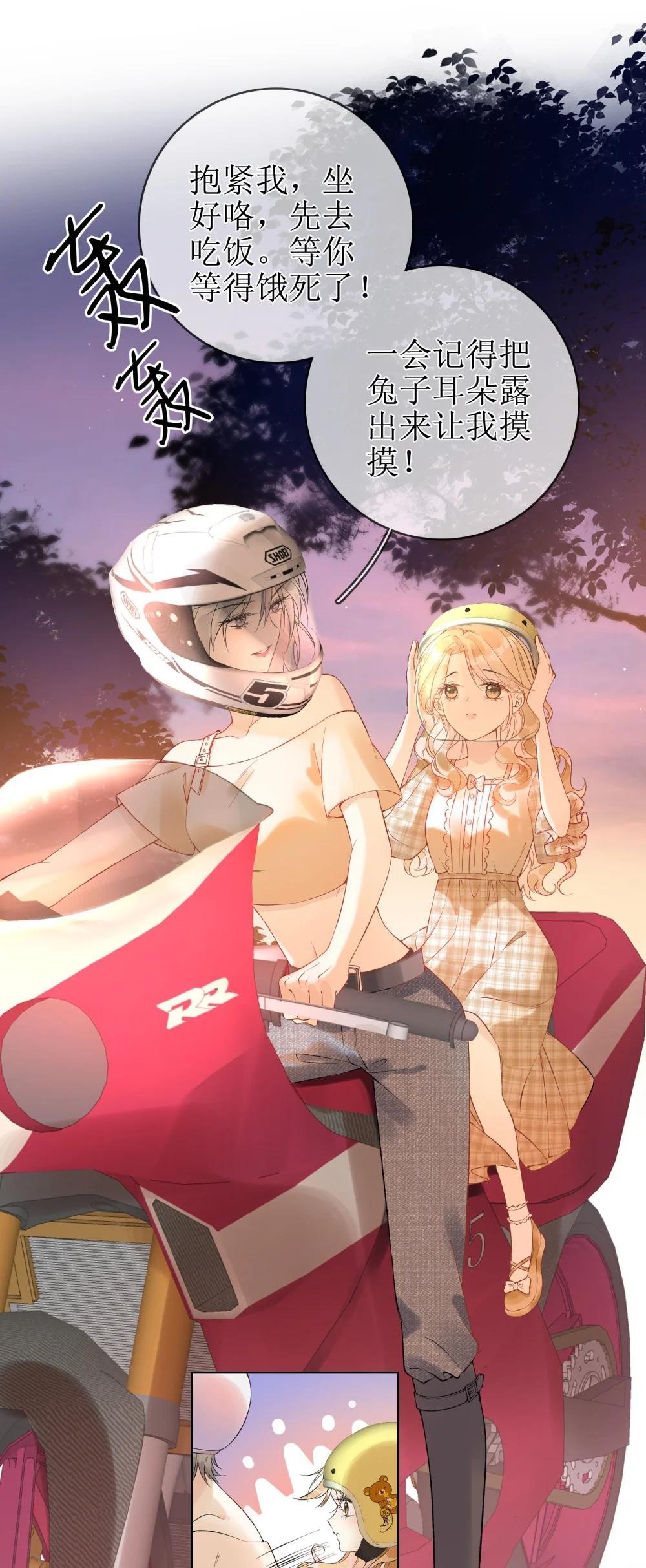 05 灰狼与兔