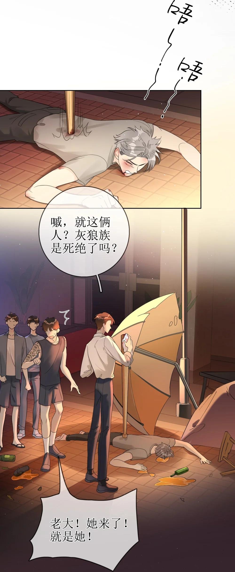 05 灰狼与兔