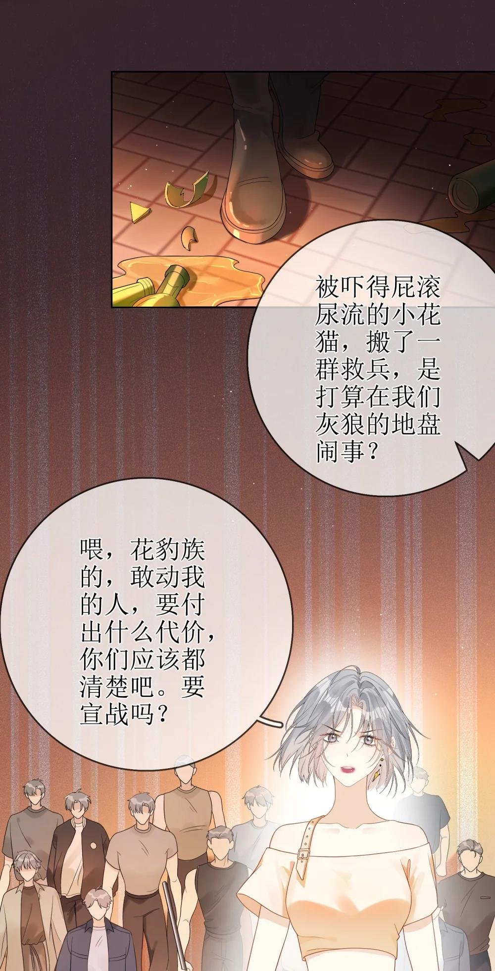 05 灰狼与兔